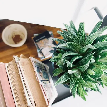 Casa Macri 피렌체